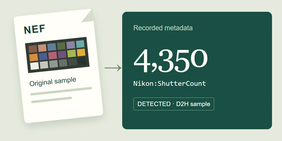 An illustrated NEF file leads to the recorded Nikon D2H sample result: Nikon:ShutterCount, 4,350, detected.